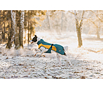 Manteau de pluie lger pour chien  Alma, 0 g