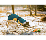 Manteau de pluie lger pour chien  Alma, 0 g