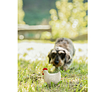 Jouet couineur pour chien  Chicken