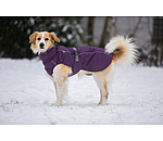 Manteau d'hiver pour chien  Marlon, 200-300 g