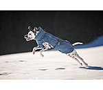 Manteau d'hiver pour chien  Marlon, 200-300 g