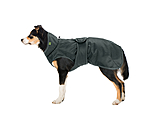 Manteau de pluie pour chien  Forest Drizzle, 50 g