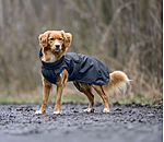 Manteau de pluie pour chien  Forest Drizzle, 50 g