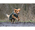 Manteau de pluie pour chien  Forest Drizzle, 50 g