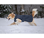 Manteau de pluie pour chien  Forest Drizzle, 50 g