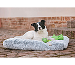 Lit pour chien  Marlie