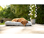 Lit pour chien  Marlie