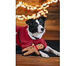 Jouet pour chien  Gingerman