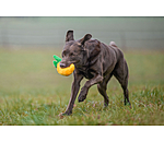 Jouet pour chien  Pineapple