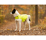 Gilet de s�curit� r�fl�chissant pour chien