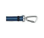 Laisse pour chien  Comfort Fit