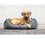 Panier pour chien  Cord