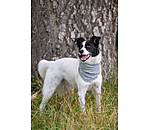 Bandana rafra�chissant  Frostie