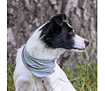 Bandana rafra�chissant  Frostie