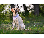 Bandana rafra�chissant  Frostie