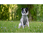 T-shirt rafra�chissant  Frostie