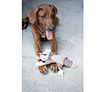 Jouet pour chien �cureuil