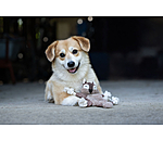 Jouet pour chien �cureuil