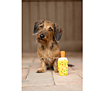 Jouet avec couineur  glace