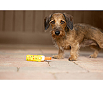 Jouet avec couineur  glace