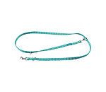 Ensemble collier et laisse  Zap