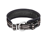 Collier pour chien  Comfort Fit