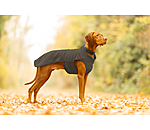 Pullover polaire pour chien  Basic