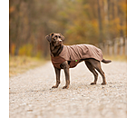 Pullover polaire pour chien  Basic
