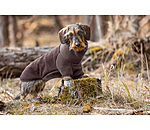 Pullover en polaire pour teckel  Edward