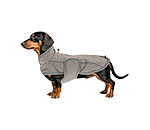 Manteau de pluie pour teckel  Winston