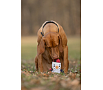 Jouet pour chien  Bonhomme de neige
