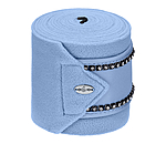 Bandes polaires  Brilliant