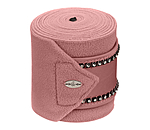 Bandes polaires  Brilliant