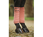 Bandes polaires  Brilliant