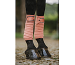 Bandes polaires  Brilliant