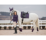 Bandes polaires  Brilliant
