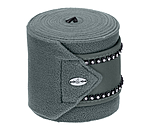 Bandes polaires  Brilliant