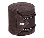 Bandes polaires  Brilliant