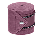 Bandes polaires  Brilliant