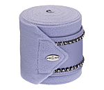 Bandes polaires  Brilliant