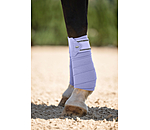 Bandes polaires  Brilliant
