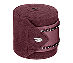 Bandes polaires  Brilliant