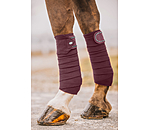 Bandes polaires  Brilliant