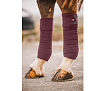 Bandes polaires  Brilliant