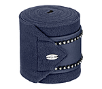 Bandes polaires  Brilliant