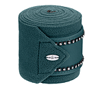 Bandes polaires  Brilliant