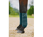 Bandes polaires  Brilliant