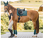 Bandes polaires  Brilliant