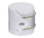 Bandes polaires  Brilliant