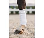 Bandes polaires  Brilliant